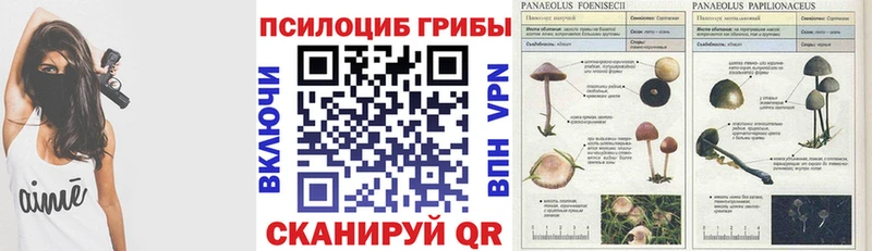 ссылка на мегу tor  продажа наркотиков  Чёрмоз  Галлюциногенные грибы мухоморы 